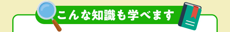 こんな知識も学べます