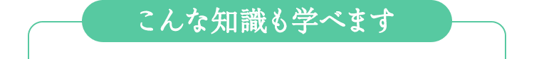 こんな知識も学べます